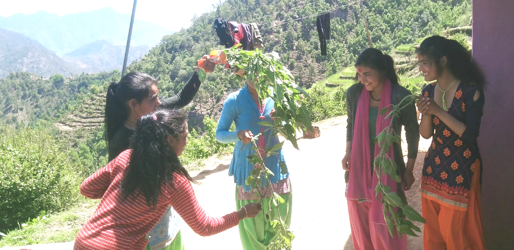 सुदूरपश्चिममा आज बिसु पर्व मनाइँदै