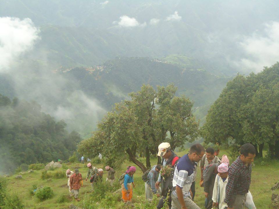यसवर्षको शिखर पूजन जात्रा असार २५ गते