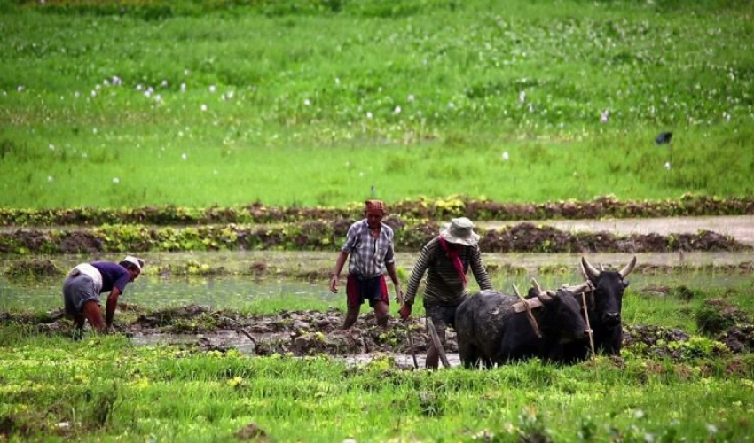 बैतडीमा कृषक पाठशाला स्थापना