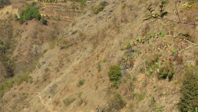 दार्चुलाका किसानलाई दशैँको चहलपहलसँगै खेतीपाती र खर काट्ने चटारो